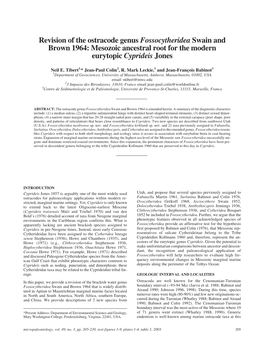 Revision of the Ostracode Genus Fossocytheridea Swain and Brown 1964: Mesozoic Ancestral Root for the Modern Eurytopic Cyprideis Jones