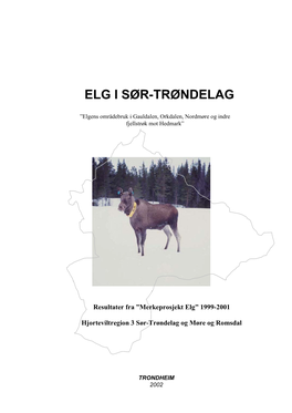 Elg I Sør-Trøndelag