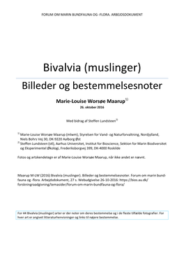 Bivalvia (Muslinger) Billeder Og Bestemmelsesnoter