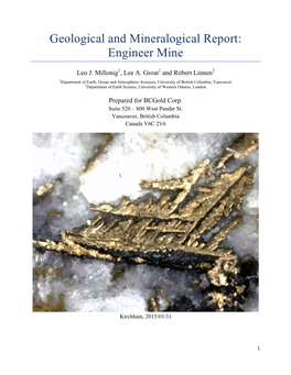 Geological and Mineralogical Report: Engineer Mine