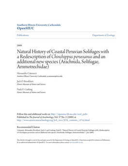 Natural History of Coastal Peruvian Solifuges with a Redescription of Chinchippus Peruvianus and an Additional New Species