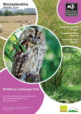 Download the Worcestershire Wildlife Trust