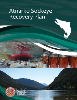 Atnarko Sockeye Recovery Plan