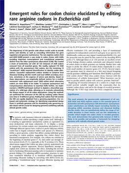 Emergent Rules for Codon Choice Elucidated by Editing Rare Arginine Codons in Escherichia Coli