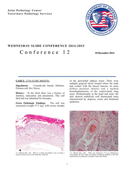 WSC 14-15 Conf 12 Layout