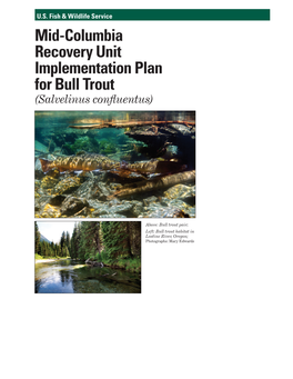 Mid-Columbia Recovery Unit Implementation Plan for Bull Trout (Salvelinus Confluentus)