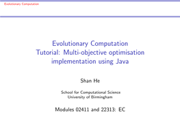 Evolutionary Computation Tutorial: Multi-Objective Optimisation Implementation Using Java
