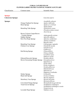 Sponge Species of Flower Garden Banks National Marine Sanctuary