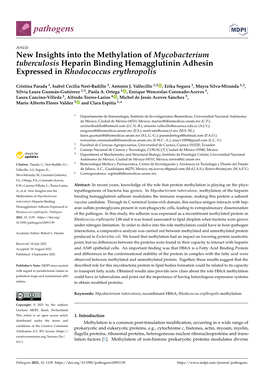 New Insights Into the Methylation of Mycobacterium Tuberculosis Heparin Binding Hemagglutinin Adhesin Expressed in Rhodococcus Erythropolis