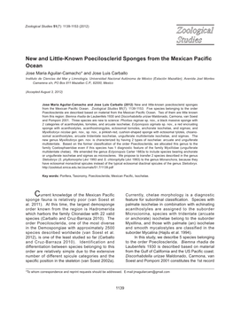 New and Little-Known Poecilosclerid Sponges from the Mexican