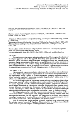 Structural Differences Between Alligator Pipehorse and Bay Pipefish Tails