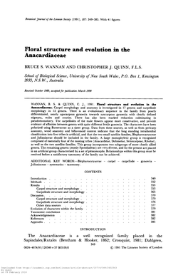 Floral Structure and Evolution in the Anacardiaceae