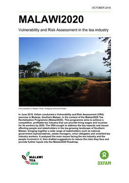 Malawi2020: Vulnerability and Risk Assessment in the Tea Industry ACKNOWLEDGEMENTS