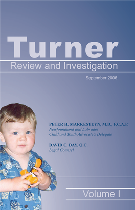 Turner Review and Investigation, September 2006