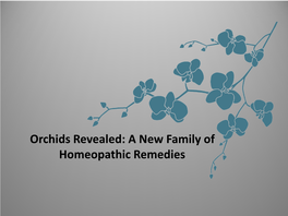 Orchids Revealed: a New Family of Homeopathic Remedies Orchidaceae Is the Largest Plant Family in the World with Over 30,000 Species