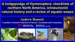 Hymenoptera: Ichneumonidae) Major Insect Taxa Data from Foottit and Adler (2017) Insect Biodiversity: Science and Society (2Nd