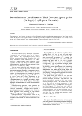 Determination of Larval Instars of Black Cutworm Agrotis Ipsilon (Hufnagel) (Lepidoptera, Noctuidae)