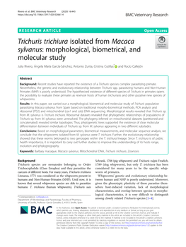 Trichuris Trichiura Isolated from Macaca Sylvanus