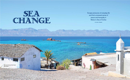 Escape Pressures of Everyday Life and Find a Renewed Sense of Peace and Tranquility in Mexico’S Sea of Cortez