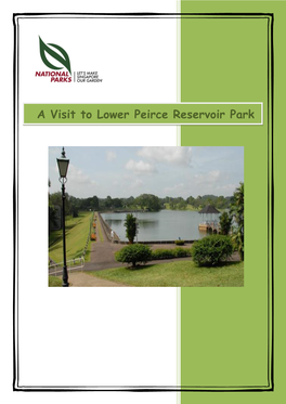 A Visit to Lower Peirce Reservoir Park