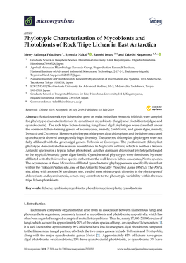 Phylotypic Characterization of Mycobionts and Photobionts of Rock Tripe Lichen in East Antarctica