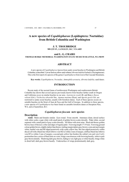 A New Species of Copablepharon (Lepidoptera: Noctuidae) from British Columbia and Washington