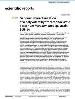 Genomic Characterization of a Polyvalent Hydrocarbonoclastic Bacterium Pseudomonas Sp. Strain BUN14