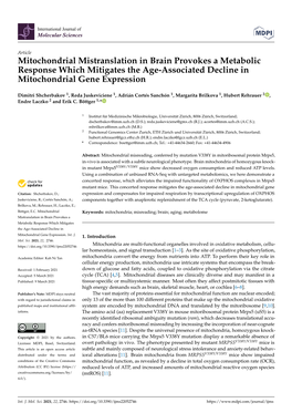 Mitochondrial Mistranslation in Brain Provokes a Metabolic Response Which Mitigates the Age-Associated Decline in Mitochondrial Gene Expression