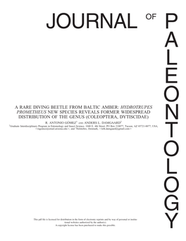 A Rare Diving Beetle from Baltic Amber: Hydrotrupes Prometheus New Species Reveals Former Widespread Distribution of the Genus (Coleoptera, Dytiscidae) 1 2 R