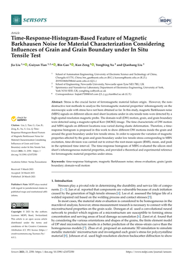 Time-Response-Histogram-Based Feature of Magnetic Barkhausen