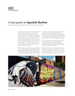 A Rose Grows in Spanish Harlem