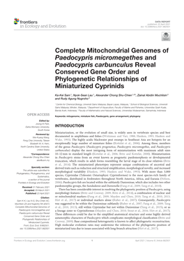 Complete Mitochondrial Genomes of Paedocypris Micromegethes and Paedocypris Carbunculus Reveal Conserved Gene Order and Phylogen