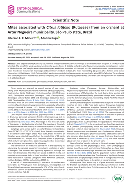 Mites Associated with Citrus Latifolia (Rutaceae) from an Orchard at Artur Nogueira Municipality, São Paulo State, Brazil Jeferson L