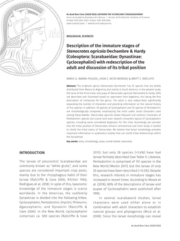 Description of the Immature Stages of Stenocrates Agricola Dechambre & Hardy (Coleoptera: Scarabaeidae: Dynastinae: Cyclocephalini) with USA: Oregon State Univ