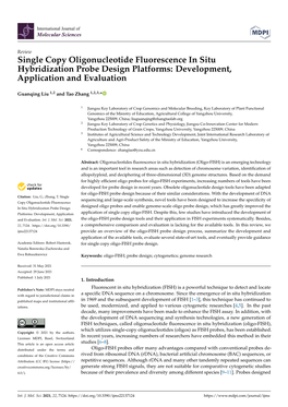 Single Copy Oligonucleotide Fluorescence in Situ Hybridization Probe Design Platforms: Development, Application and Evaluation