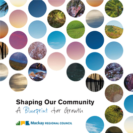 Shaping Our Community a Blueprint for Growth Shaping Our Community a Blueprint for Growth