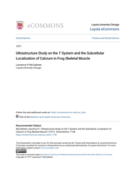 Ultrastructure Study on the T System and the Subcellular Localization of Calcium in Frog Skeletal Muscle