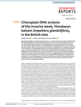 Impatiens Glandulifera), in the British Isles Daisuke Kurose 1*, Kathryn M