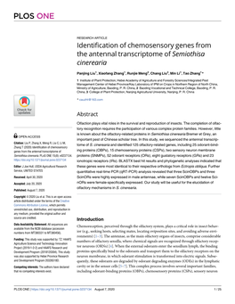 Identification of Chemosensory Genes from the Antennal Transcriptome of Semiothisa Cinerearia