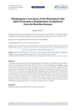 Coleoptera, Staphylinidae, Pselaphinae) from the Brazilian Amazon