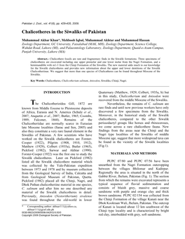 Chalicotherium from the Chinji Formation of the Siwaliks, a Note On