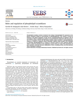 Roles and Regulation of Phospholipid Scramblases ⇑ Karthik M