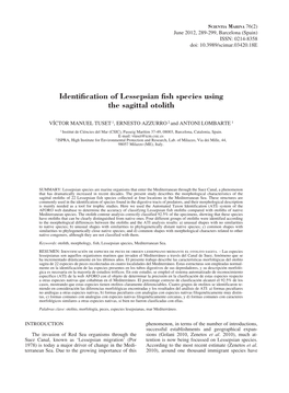 Identification of Lessepsian Fish Species Using the Sagittal Otolith