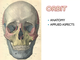 Orbit Is the Anatomical Space Bounded