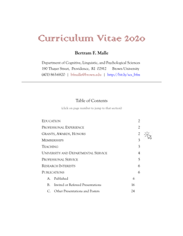 Curriculum Vitae 2020