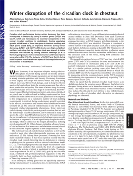 Winter Disruption of the Circadian Clock in Chestnut