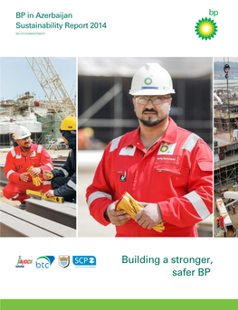 Building a Stronger, Safer BP About Our Report