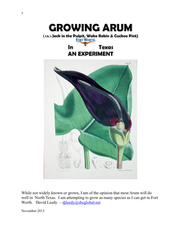 GROWING ARUM (AKA Jack in the Pulpit, Wake Robin & Cuckoo Pint)