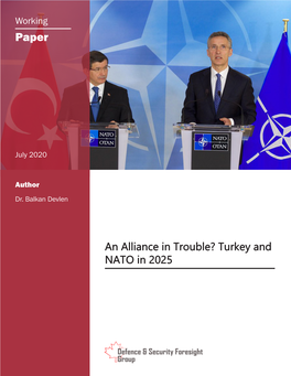 An Alliance in Trouble? Turkey and NATO in 2025 About the Author