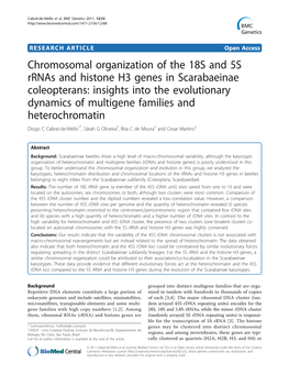 Chromosomal Organization of the 18S and 5S Rrnas And